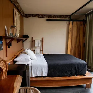** Hotel Bufo Alvarius Mexique